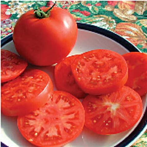 Unmasking the Devotion Witch: A Tomato Conspiracy?